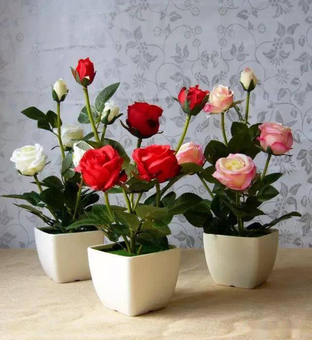 臥室適合綠植嗎_臥室綠植適合養(yǎng)什么花_適合臥室的綠植