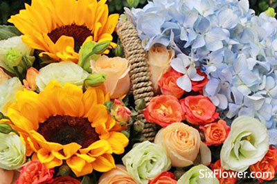 生日送白花合適嗎_生日送白色的花好嗎_送生日白色花好嗎