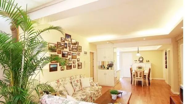 客廳風水養(yǎng)植物好不好_客廳養(yǎng)什么植物風水好_客廳養(yǎng)植物的風水原則