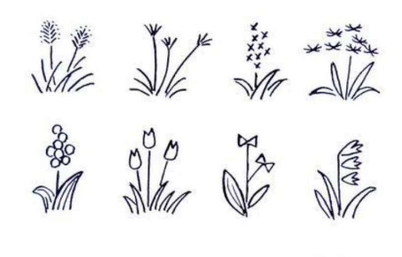 北方庭院耐寒觀賞花樹(shù)_北方庭院耐寒盆景_適合北方庭院的耐寒綠植