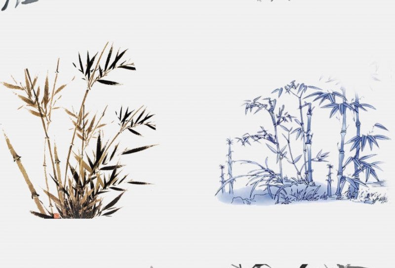 適合北方庭院的耐寒綠植_北方庭院耐寒盆景_北方庭院耐寒觀賞花樹(shù)