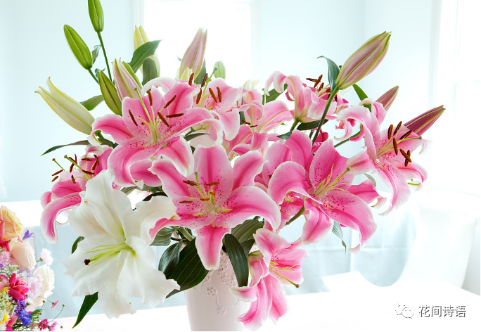 寓意生日送花祝福語_生日送花的寓意_生日送花花語