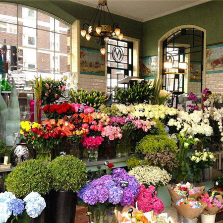 <strong>妹妹過生日送什么花,妹妹生日哥哥送什么花</strong>