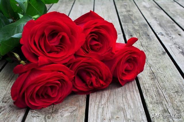 送戀人花束賀卡_送戀人的花_送戀人花束賀卡怎么寫