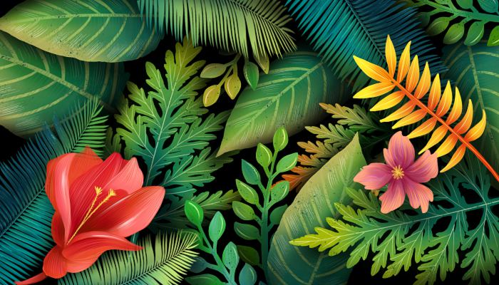 喬遷之喜送綠植一般送幾盆_喬遷送綠植賀詞_喬遷新居送綠植要送一對嗎