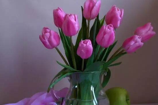 花卉大全藍(lán)色花名有哪些_藍(lán)色花卉大全花名_藍(lán)色的花名稱大全