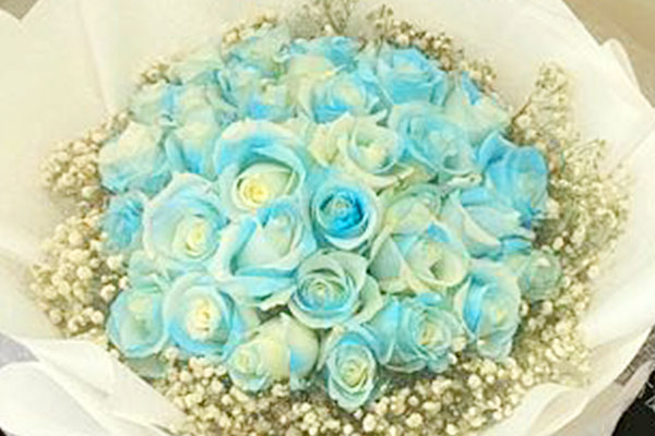 白玫瑰花適合送什么人_白玫瑰適合送對象嘛_白玫瑰送人代表什么意思