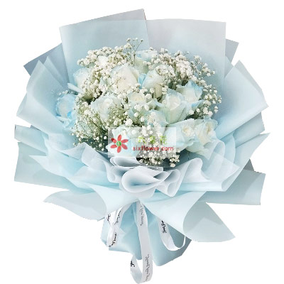 白玫瑰送人代表什么意思_白玫瑰花適合送什么人_白玫瑰適合送對象嘛