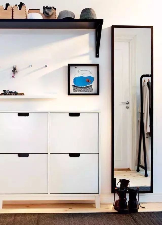 玄關(guān)鞋柜上放什么綠植好_玄關(guān)鞋柜放什么植物好_玄關(guān)鞋柜擺什么花