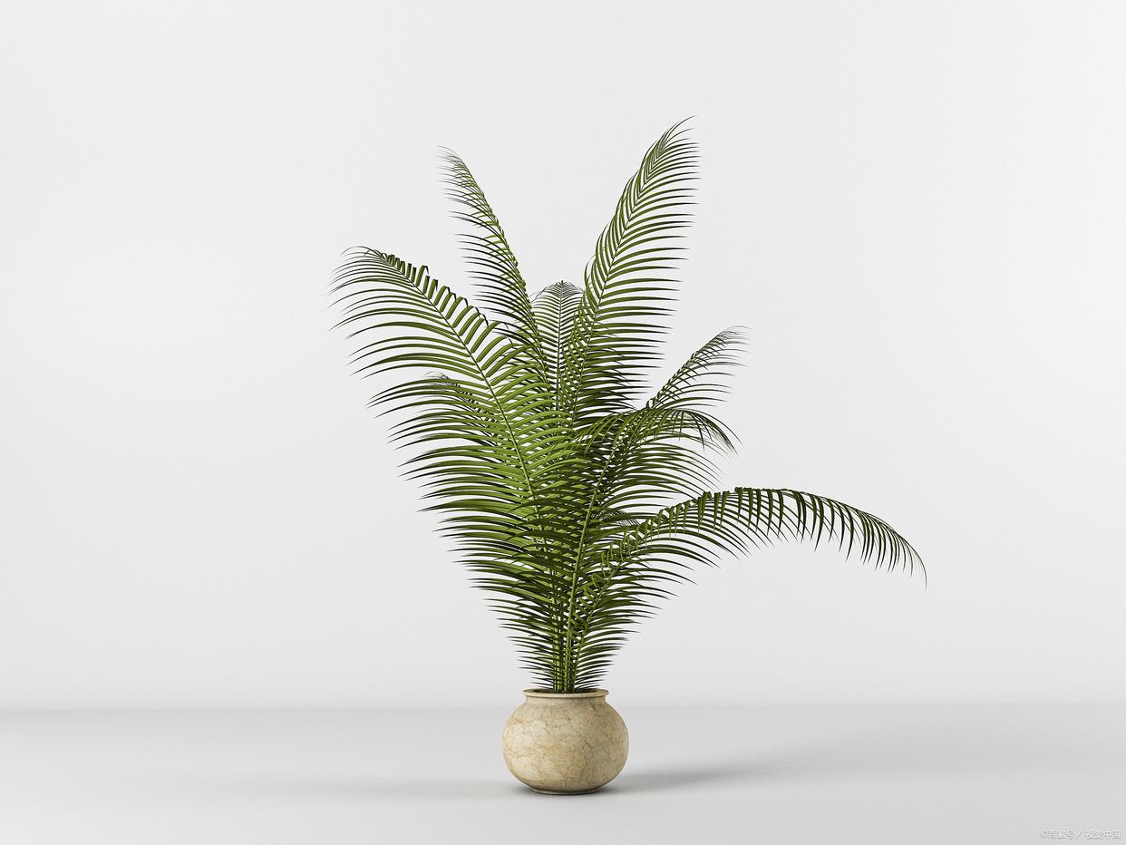 哪種花耐陰_花卉耐陰植物_比較耐陰的花卉有哪些