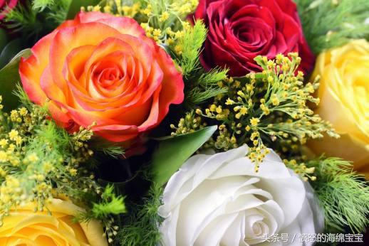 別人送的鮮花怎么養(yǎng)時(shí)間比較久_送鮮花久養(yǎng)比較時(shí)間長(zhǎng)怎么辦_送鮮花有時(shí)間要求嗎