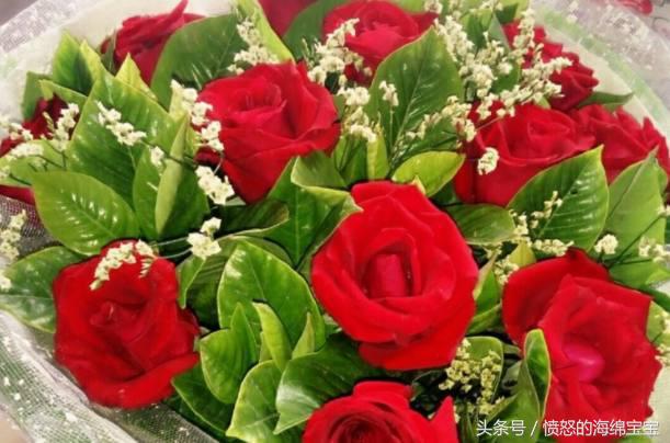送鮮花久養(yǎng)比較時(shí)間長(zhǎng)怎么辦_別人送的鮮花怎么養(yǎng)時(shí)間比較久_送鮮花有時(shí)間要求嗎