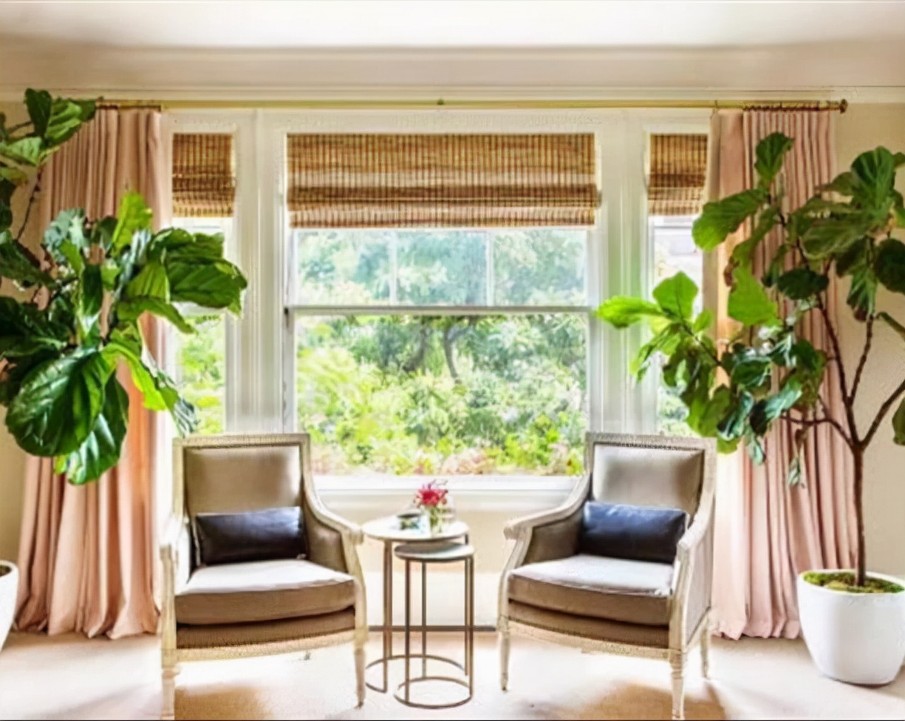 室內(nèi)適宜盆栽花卉_適合室內(nèi)盆栽花卉盆景_花卉適宜盆栽室內(nèi)還是室外