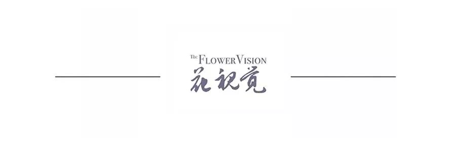 親人逝去送給花怎么說_親人逝去送給花的祝福語_送給逝去親人的花