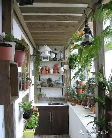 陽(yáng)臺(tái)適合養(yǎng)殖什么花草_陽(yáng)臺(tái)養(yǎng)植物適合什么花_陽(yáng)臺(tái)適合養(yǎng)什么植物