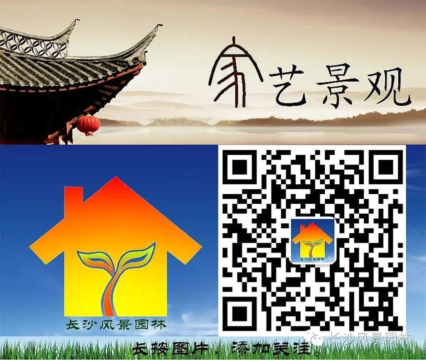 陽(yáng)臺(tái)適合養(yǎng)什么植物_陽(yáng)臺(tái)適合養(yǎng)殖什么花草_陽(yáng)臺(tái)養(yǎng)植物適合什么花